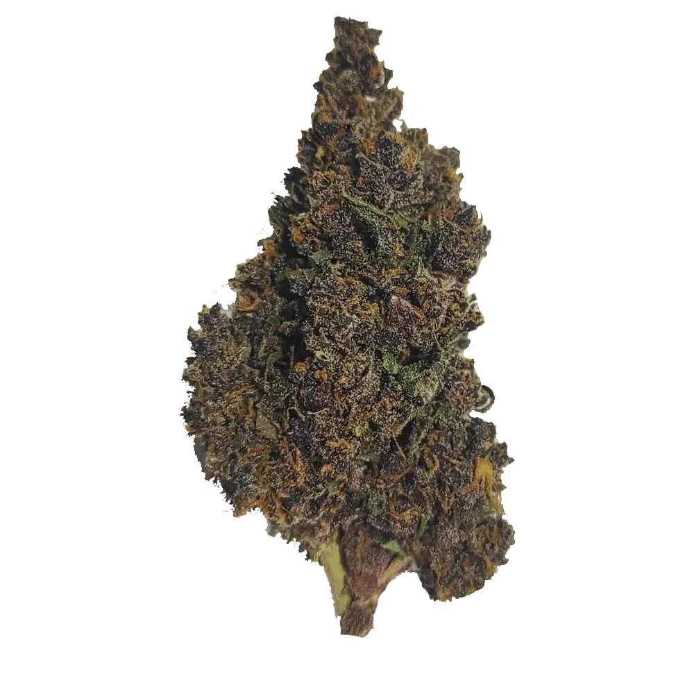 cima dell'erba legale purple per l'acquisto di cannabis online