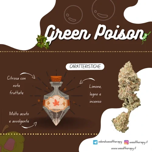 grafica-descrittiva-cannabis-light-green-poison-weedtherapy