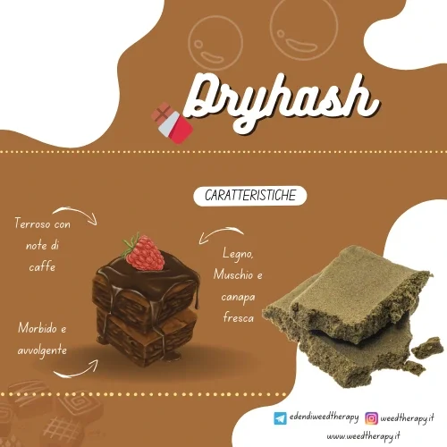 Grafica descrittiva dell'hashish legale dryhash con logo e pezzo di hashish legale vicino, con logo e frasi descrittive