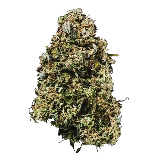 cima dell'erba legale bubblegum og per l'acquisto di cannabis online