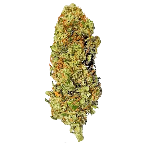 cima dell'erba legale strawberry haze per l'acquisto di cannabis online