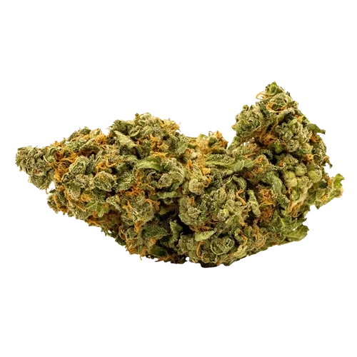 Cima cannabis light Gelato n.33 su sfondo trasparente per sito web weedtherapy