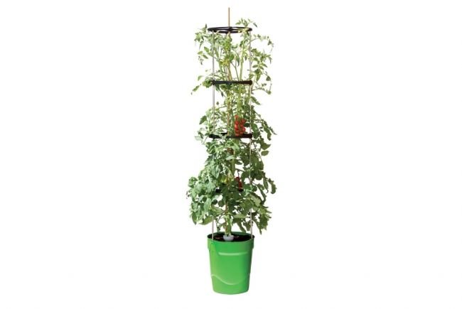 g195grself_watering_grow_pot_tower_green_with_tomatoes_65128-28537